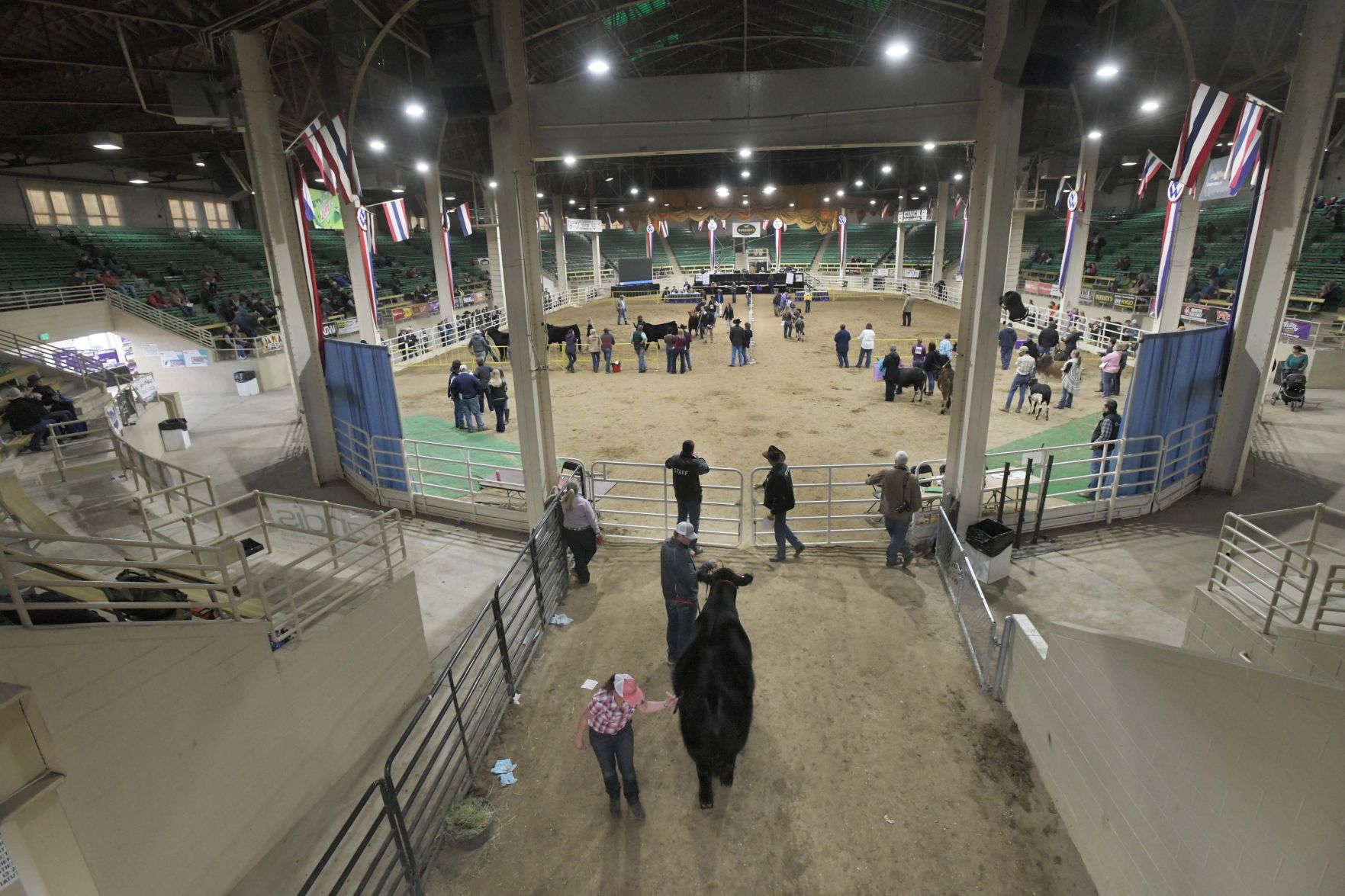 Stock Show National Western Center